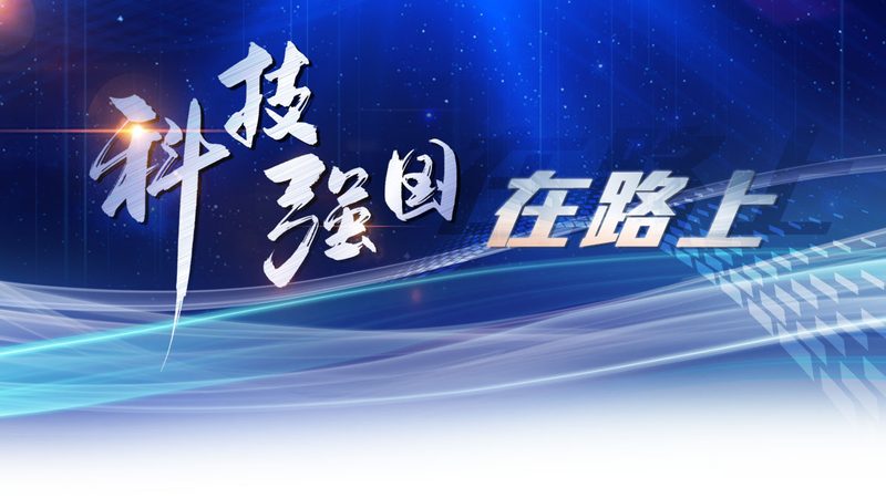 小型SaaS平台的技术选型与架构设计